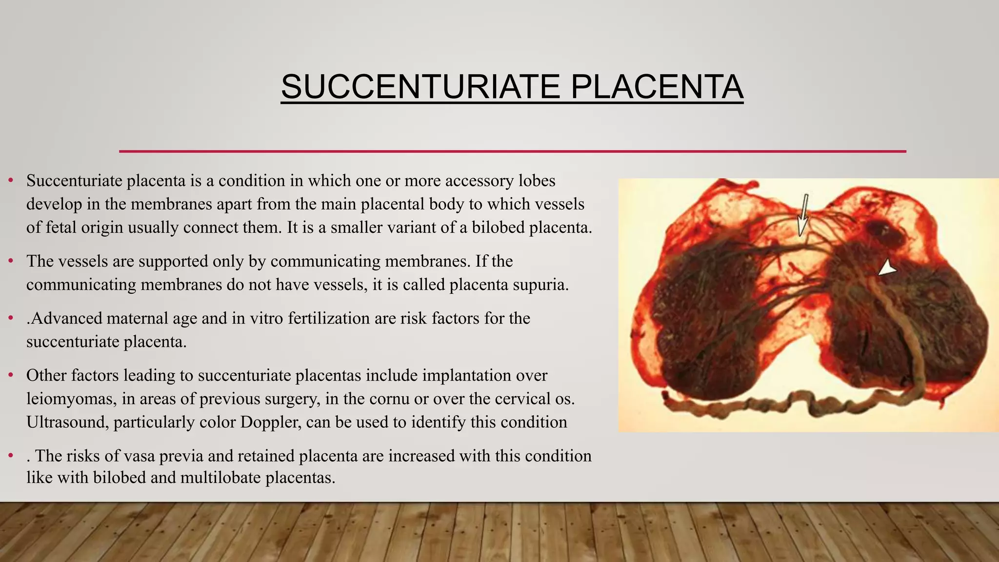 SUCCENTURIATE PLACENTA
• Succenturiate placenta is a condition in which one or more accessory lobes
develop in the membranes apart from the main placental body to which vessels
of fetal origin usually connect them. It is a smaller variant of a bilobed placenta.
• The vessels are supported only by communicating membranes. If the
communicating membranes do not have vessels, it is called placenta supuria.
• .Advanced maternal age and in vitro fertilization are risk factors for the
succenturiate placenta.
• Other factors leading to succenturiate placentas include implantation over
leiomyomas, in areas of previous surgery, in the cornu or over the cervical os.
Ultrasound, particularly color Doppler, can be used to identify this condition
• . The risks of vasa previa and retained placenta are increased with this condition
like with bilobed and multilobate placentas.
 