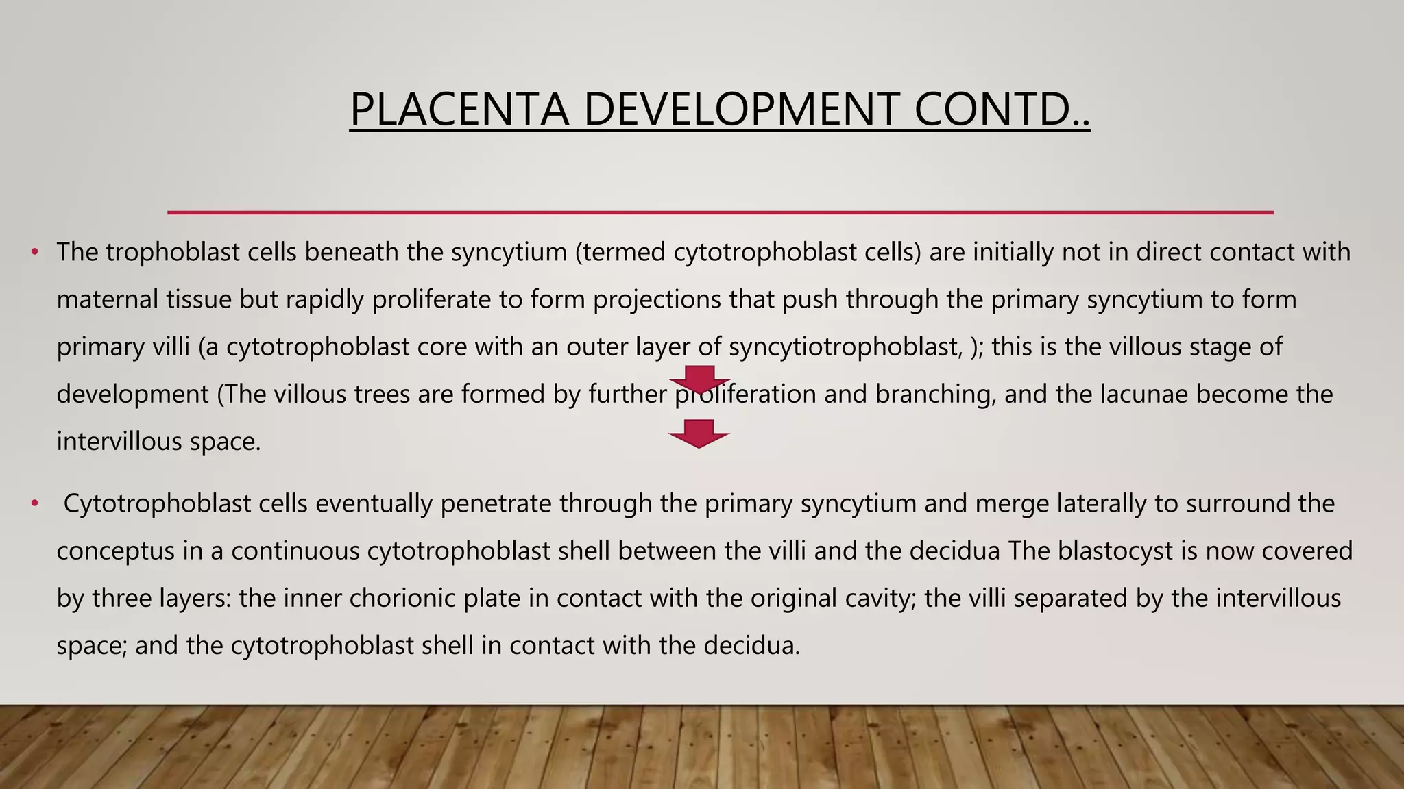 PLACENTA DEVELOPMENT CONTD..
• The trophoblast cells beneath the syncytium (termed cytotrophoblast cells) are initially not in direct contact with
maternal tissue but rapidly proliferate to form projections that push through the primary syncytium to form
primary villi (a cytotrophoblast core with an outer layer of syncytiotrophoblast, ); this is the villous stage of
development (The villous trees are formed by further proliferation and branching, and the lacunae become the
intervillous space.
• Cytotrophoblast cells eventually penetrate through the primary syncytium and merge laterally to surround the
conceptus in a continuous cytotrophoblast shell between the villi and the decidua The blastocyst is now covered
by three layers: the inner chorionic plate in contact with the original cavity; the villi separated by the intervillous
space; and the cytotrophoblast shell in contact with the decidua.
 