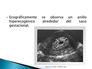  Ecográficamente se observa un anillo 
hiperecogénico alrededor del saco 
gestacional. 
Placenta y cordón. LUCERO. Cafici. 
 