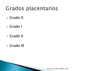  Grado 0 
 Grado I 
 Grado II 
 Grado III 
Placenta y cordón. LUCERO. Cafici. 
 