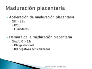  Aceleración de maduración placentaria 
◦ GIII <33s 
 RCIU 
 Fumadoras 
 Demora de la maduración placentaria 
◦ Grado 0 >33s 
 DM gestacional 
 RH negativas sensibilizadas 
Placenta y cordón. LUCERO. Cafici. 
 