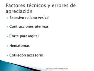  Excesivo relleno vesical 
 Contracciones uterinas 
 Corte parasagital 
 Hematomas 
 Cotiledón accesorio 
Placenta y cordón. LUCERO. Cafici. 
 