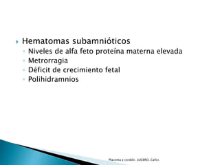  Hematomas subamnióticos 
◦ Niveles de alfa feto proteína materna elevada 
◦ Metrorragia 
◦ Déficit de crecimiento fetal 
◦ Polihidramnios 
Placenta y cordón. LUCERO. Cafici. 
 