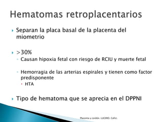  Separan la placa basal de la placenta del 
miometrio 
 >30% 
◦ Causan hipoxia fetal con riesgo de RCIU y muerte fetal 
◦ Hemorragia de las arterias espirales y tienen como factor 
predisponente 
 HTA 
 Tipo de hematoma que se aprecia en el DPPNI 
Placenta y cordón. LUCERO. Cafici. 
 