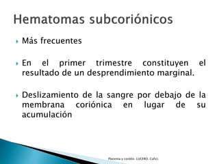  Más frecuentes 
 En el primer trimestre constituyen el 
resultado de un desprendimiento marginal. 
 Deslizamiento de la sangre por debajo de la 
membrana coriónica en lugar de su 
acumulación 
Placenta y cordón. LUCERO. Cafici. 
 