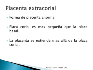  Forma de placenta anormal 
 Placa corial es mas pequeña que la placa 
basal. 
 La placenta se extiende mas allá de la placa 
corial. 
Placenta y cordón. LUCERO. Cafici. 
 