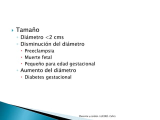  Tamaño 
◦ Diámetro <2 cms 
◦ Disminución del diámetro 
 Preeclampsia 
 Muerte fetal 
 Pequeño para edad gestacional 
◦ Aumento del diámetro 
 Diabetes gestacional 
Placenta y cordón. LUCERO. Cafici. 
 