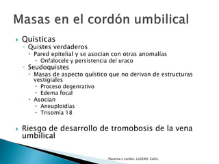  Quisticas 
◦ Quistes verdaderos 
 Pared epitelial y se asocian con otras anomalías 
 Onfalocele y persistencia del uraco 
◦ Seudoquistes 
 Masas de aspecto quístico que no derivan de estructuras 
vestigiales 
 Proceso degenrativo 
 Edema focal 
 Asocian 
 Aneuploidías 
 Trisomía 18 
 Riesgo de desarrollo de tromobosis de la vena 
umbilical 
Placenta y cordón. LUCERO. Cafici. 
 