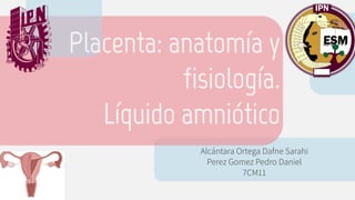 Alcántara Ortega Dafne Sarahi
Perez Gomez Pedro Daniel
7CM11
Placenta: anatomía y
fisiología.
Líquido amniótico
 