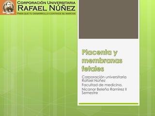Corporación universitaria
Rafael Núñez
Facultad de medicina.
Nicanor Beleño Ramírez II
Semestre
 