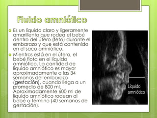   Es un líquido claro y ligeramente
    amarillento que rodea el bebé
    dentro del útero (feto) durante el
    embarazo y que está contenido
    en el saco amniótico.
   Mientras está en el útero, el
    bebé flota en el líquido
    amniótico. La cantidad de
    líquido amniótico es mayor
    aproximadamente a las 34
    semanas del embarazo
    (gestación), cuando llega a un
    promedio de 800 ml.
    Aproximadamente 600 ml de
    líquido amniótico rodean al
    bebé a término (40 semanas de
    gestación).
 