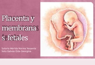 Placenta y
membrana
s fetales
Solorio Mérida Norma Yessenia
Soto Galván Elda Georgina
 