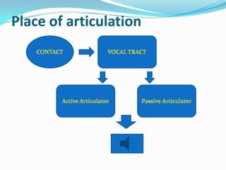 Place of articulation
 