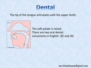 Palatal Letters English Consonants - Place of articulation | PPTX