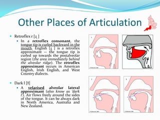 Teach Retroflex R.pdf Comprehensive Overview of Places of Articulation in English Phonetics | PDF