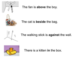 The fan is above the boy.
The cat is beside the bag.
The walking stick is against the wall.
There is a kitten in the box.
 