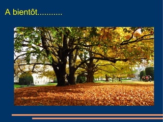 A bientôt...........