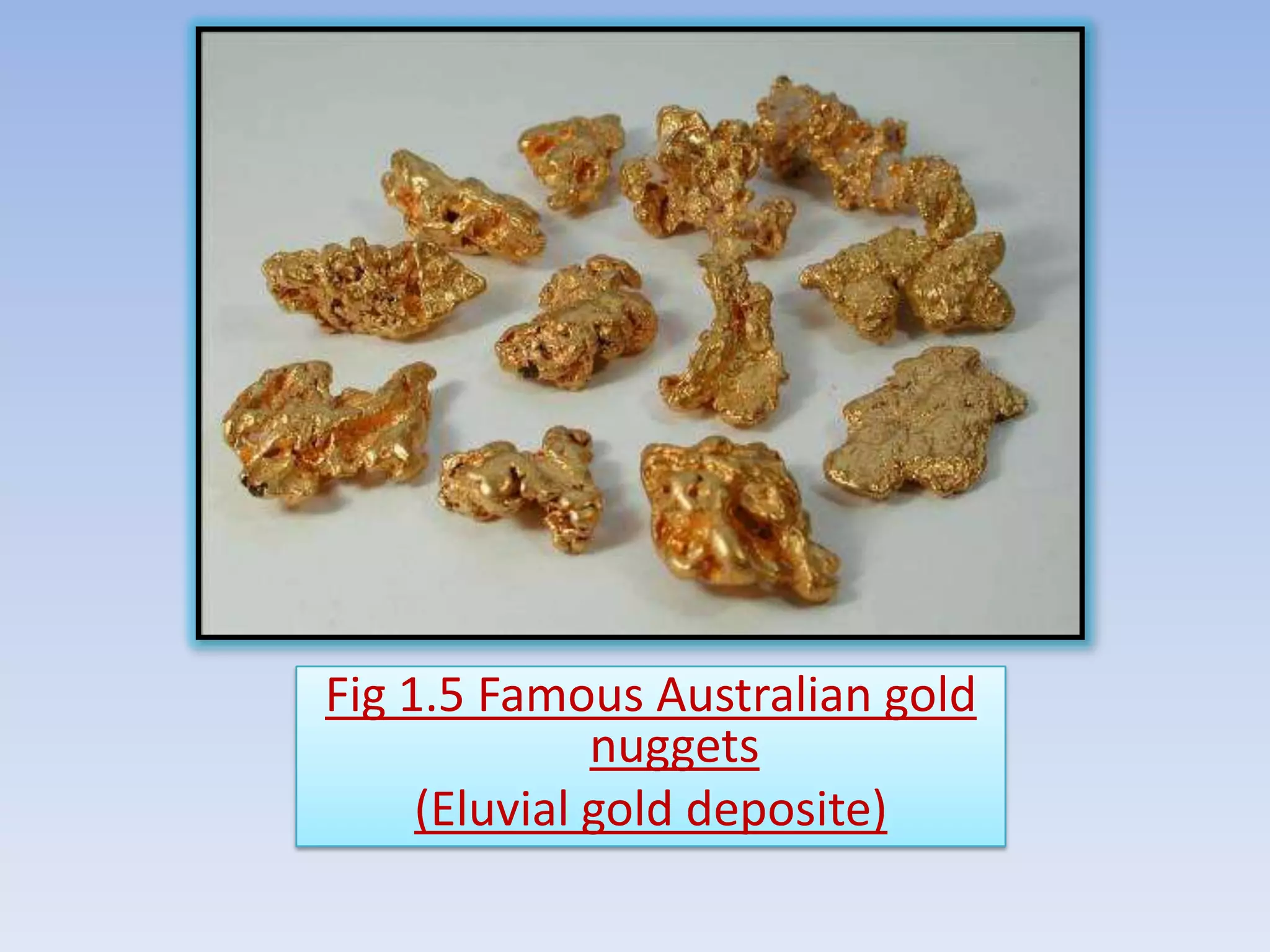 Fig 1.5 Famous Australian gold
              nuggets
     (Eluvial gold deposite)
 