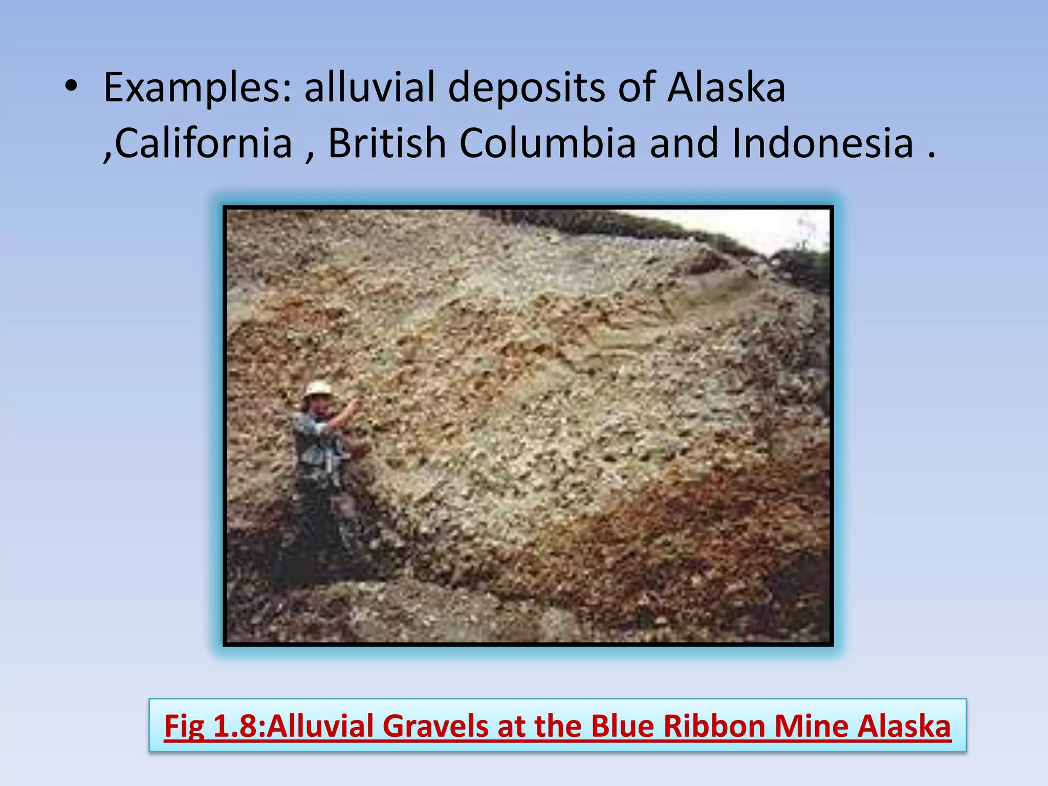 • Examples: alluvial deposits of Alaska
  ,California , British Columbia and Indonesia .




     Fig 1.8:Alluvial Gravels at the Blue Ribbon Mine Alaska
 