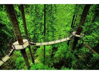 Creatividad del hombre en imagenes