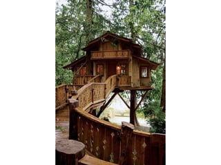 Creatividad del hombre en imagenes