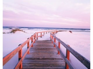 Creatividad del hombre en imagenes