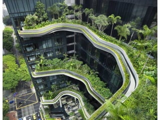 Creatividad del hombre en imagenes