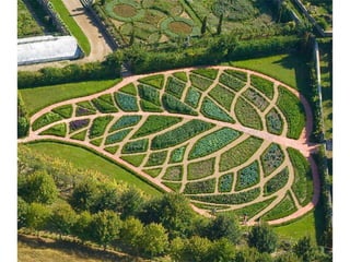 Creatividad del hombre en imagenes