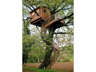 Creatividad del hombre en imagenes