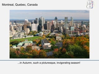 Montreal, Quebec, Canada




          ...in Autumn, such a picturesque, invigorating season!
 