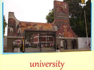 university
 