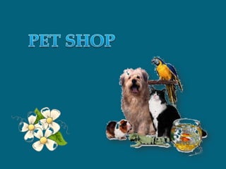 PET SHOP