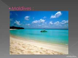  Maldives ;Attribution.