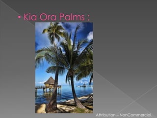  Kia Ora Palms ;Attribution – NonCommercial.
