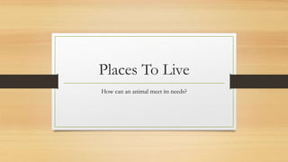 Places To Live
How can an animal meet its needs?
 