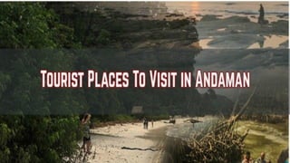Places to visit in andaman