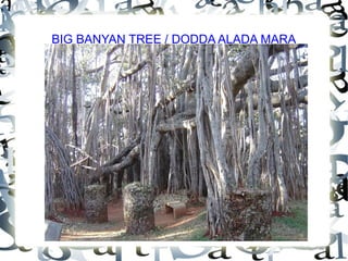 Places to visit near bangalore | PPT