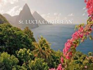 St. LUCIA,CARIBBEAN
 