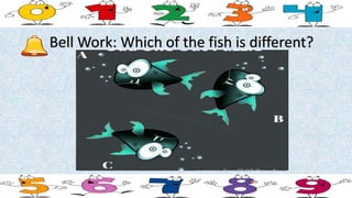 Bell Work: Which of the fish is different?
 