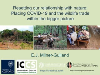 Resetting our relationship with nature:
Placing COVID-19 and the wildlife trade
within the bigger picture
E.J. Milner-Gulland
Photos by Harriet Ibbett, Keo Seima Wildlife Sanctuary, Cambodia, 2016
https://tradehub.earth https://www.illegalwildlifetrade.net
 