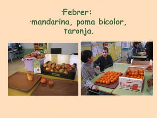 Febrer:
       •



mandarina, poma bicolor,
•



        taronja.
 