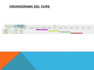 CRONOGRAMA DEL CURS
 