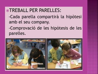TREBALL PER PARELLES:
-Cada parella compartirà la hipòtesi
amb el seu company.
-Comprovació de les hipòtesis de les
parelles.
 