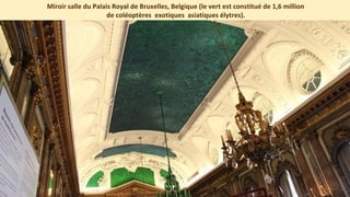 Miroir salle du Palais Royal de Bruxelles, Belgique (le vert est constitué de 1,6 million
de coléoptères exotiques asiatiques élytres).
 