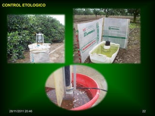 CONTROL ETOLOGICO




  28/11/2011 20:46   22
 