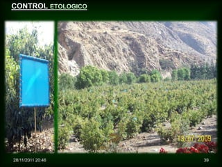 CONTROL ETOLOGICO




28/11/2011 20:46    39
 