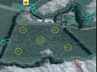 A-I           D-IV




                           C-III




                                          E-V

             B- II




28/11/2011
 