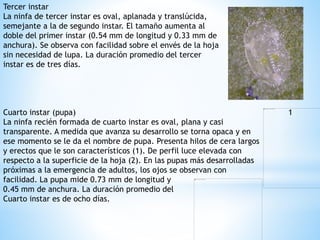 Plagas | PPTX
