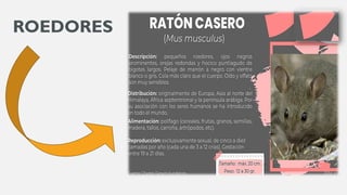 GESTION INTEGRAL DE LAS PLAGAS EN LA INDUSTRIA DE ALIMENTOS | PDF