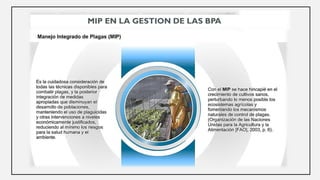 GESTION INTEGRAL DE LAS PLAGAS EN LA INDUSTRIA DE ALIMENTOS | PDF